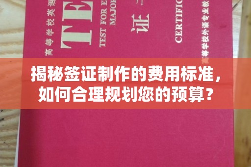 柘荣揭秘签证制作的费用标准，如何合理规划您的预算？