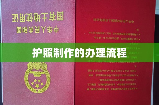 柘荣护照制作的办理流程